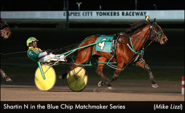 Shartin N Leads Matchmaker Mares