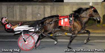 DSBF Mania At Harrington