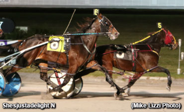 'Delight' Defeats Yonkers' Distaffers