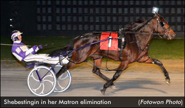 Year-End Battle Brewing Between Fillies?