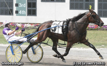 Shebestingin Wins Tompkins-Geers