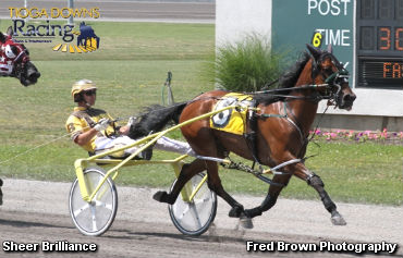 Sheer Brilliance Scores In Tioga Open