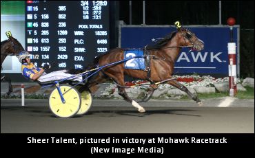 Auciello On Sires Stakes Starters