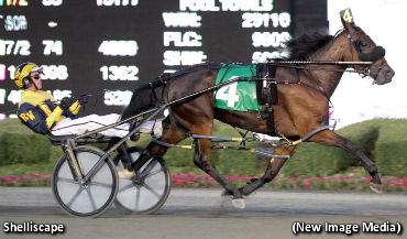 Whenuwishuponastar To Shelliscape; Peach Martini Wins Gold Elim