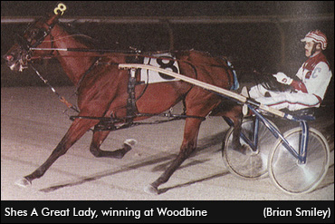 Woodbine Top Ten: #7