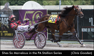 Sentimental Stakes Win For Teagues