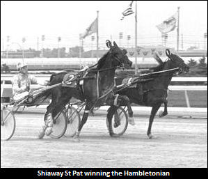 Shiaway St Pat Passes