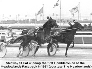 29 Hambo Facts For 29 Years At The Big M