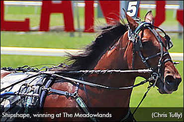 More Freshmen At The Meadowlands