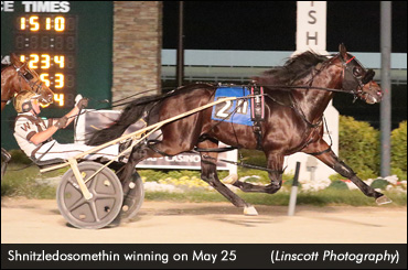 'Cup' Colt Wins Season Debut At Hoosier