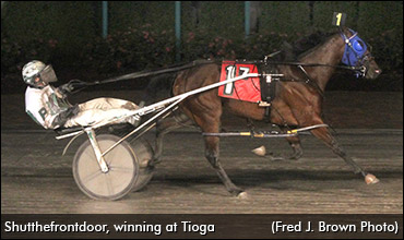 Hunch Play For Blizzard Series?