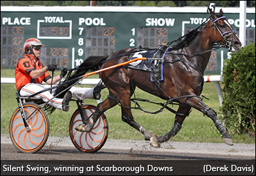 Silent Swing Retired