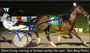 Silent Swing Scores 50th Career Win