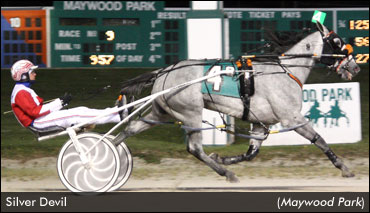 Silver Devil Romps To Stakes Victory