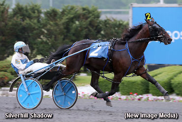 Chalk And Shock In Summertime