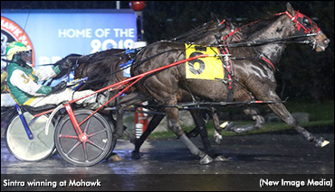 Sintra Repeats In Preferred