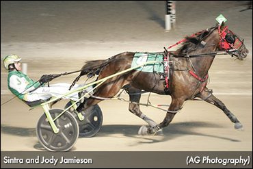 High Hopes For Sintra In Camluck