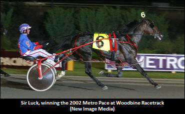 Sir Luck Training Down