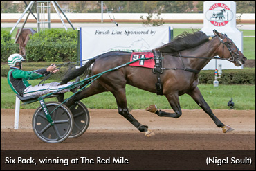 Six Pack To Race At Four