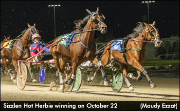 'Herbie' Sizzling Hot At The Raceway