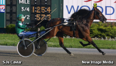 SJs Caviar Not Exported