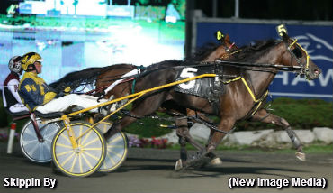 Sweep For Shadow Play Fillies 