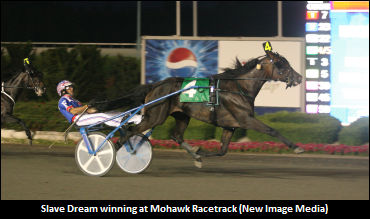 Slave Dream Sidelined