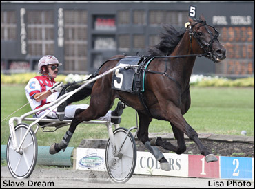 Trainer Realizes Dream With Trotter