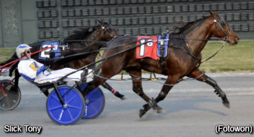 Dover Finishes Meet With A Bang  