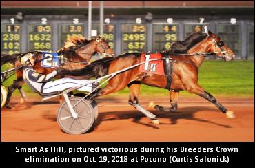 Smart As Hill Showing His Aptitude