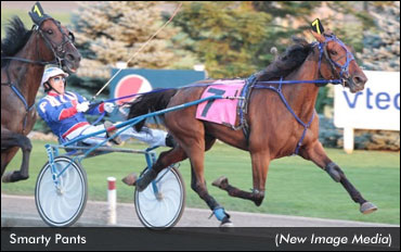 Smarty Pants To End Winless Drought?