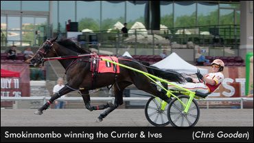 Smokinmombo Sets Stakes Record