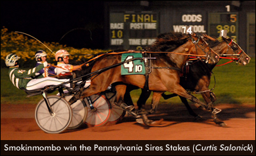 Smokinmombo Foils Takter Sweep