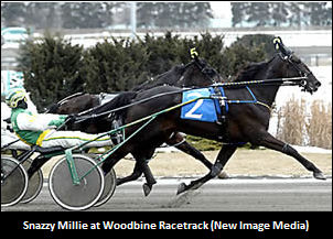 Snazzy Millie Returns