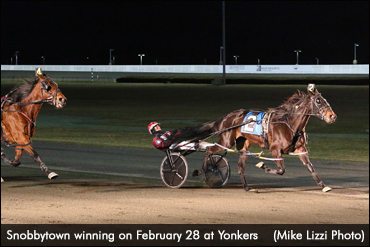 Snobbytown Superior In Yonkers Open