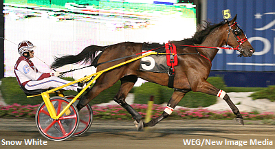 Snow White To Headline January Mixed Sale