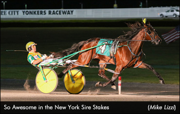Frosh Fillies Star In NY Sire Stakes