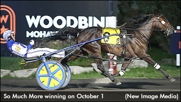 So Much More Scratched From Breeders Crown