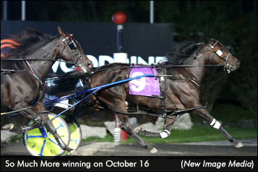 So Much More Repeats In Mares Preferred