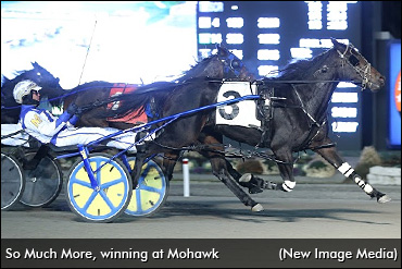 So Much More A Dream Come True