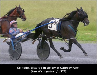 DiDomenico Pupils Shine At Gaitway