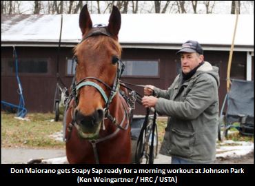 Racehorse Is "Part Of The Family"
