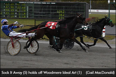 Pacing Perfection In P.E.I.