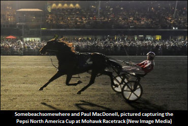 Somebeachsomewhere Stakes Drawn