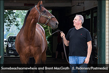 Full Circle For Final 'Beach' Foals