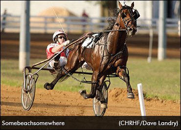 What If Somebeachsomewhere Raced At Four?