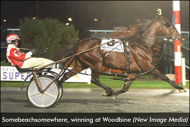 Woodbine Top Ten: #2