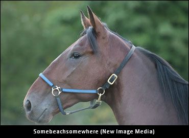 ‘Beach’ Undergoing Chemotherapy
