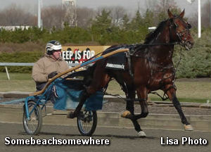 Somebeachsomewhere's Halter on eBay