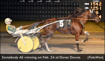 Somebody AS Romps In Dover Debut